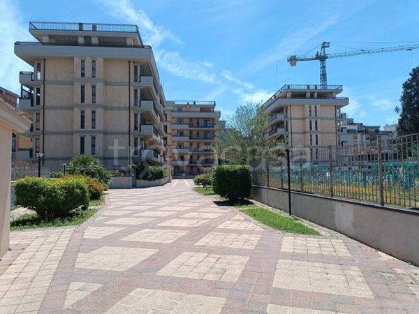 appartamento in affitto a Foggia in zona Immacolata / San Pio X