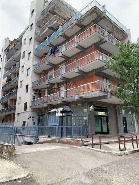 appartamento in affitto a Foggia in zona Macchia Gialla