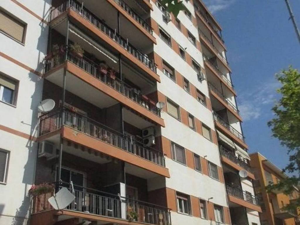 negozio in affitto a Foggia