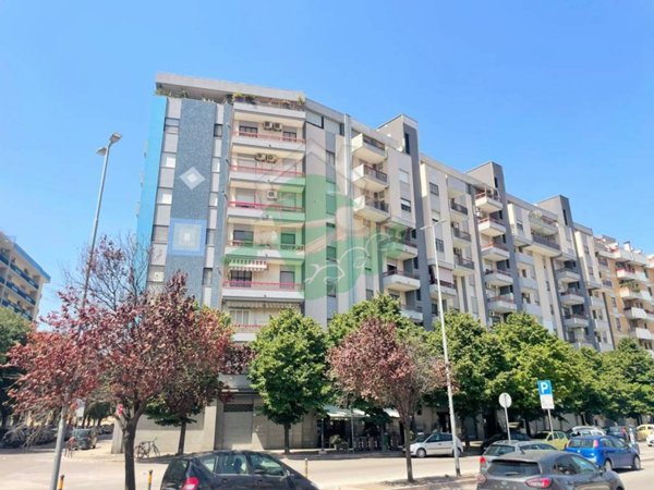 appartamento in affitto a Foggia