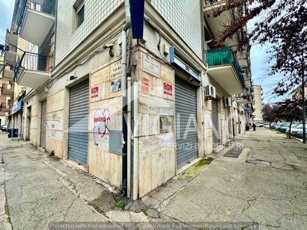 negozio in affitto a Foggia