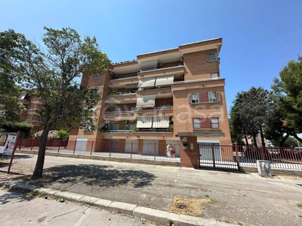 appartamento in affitto a Foggia