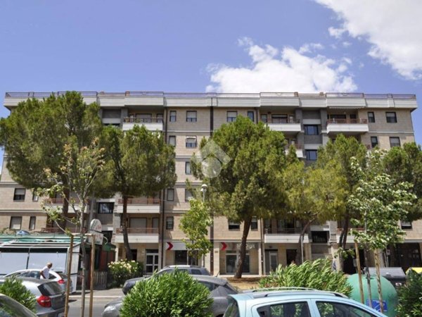 appartamento in affitto a Foggia