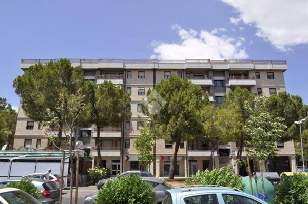 appartamento in affitto a Foggia