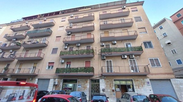 appartamento in affitto a Foggia
