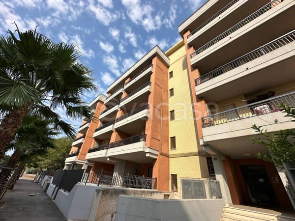 appartamento in affitto a Foggia