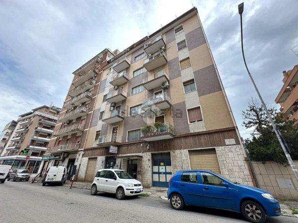 appartamento in affitto a Foggia