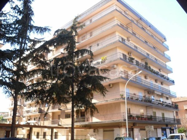 appartamento in affitto a Foggia in zona Macchia Gialla