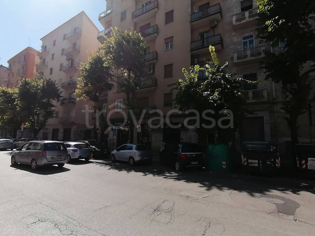 negozio in affitto a Foggia