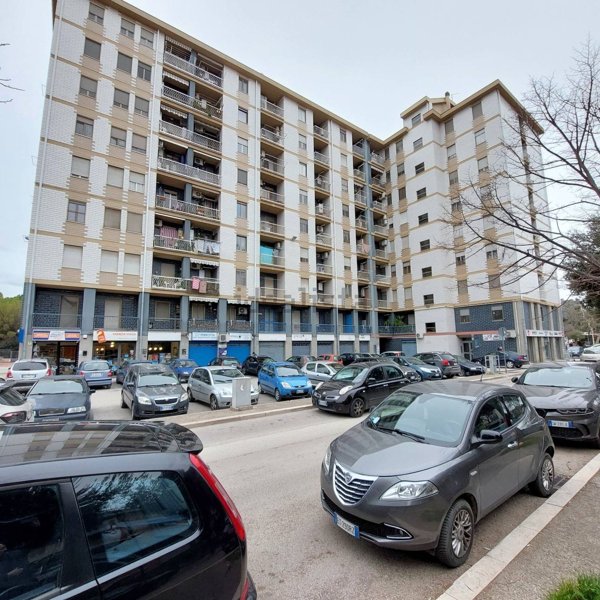 appartamento in affitto a Foggia