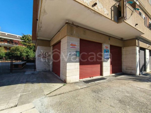 negozio in affitto a Foggia