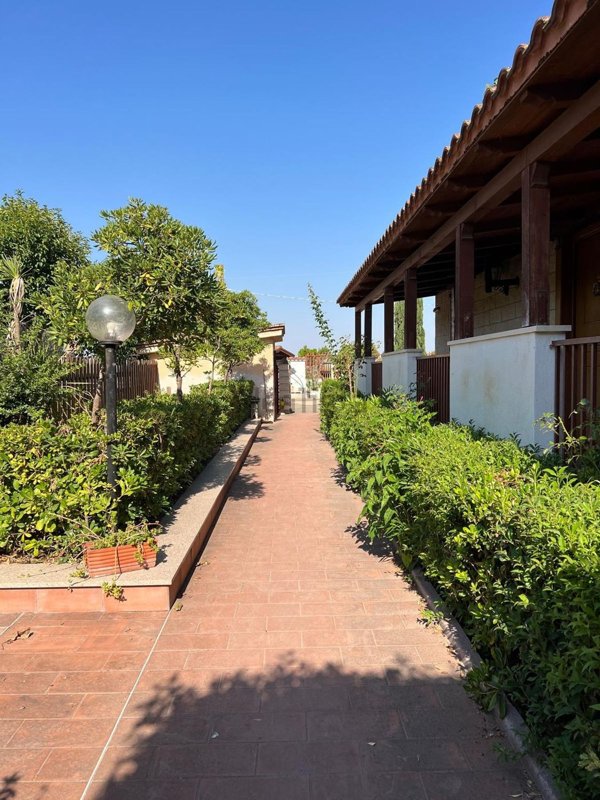 appartamento in affitto a Foggia