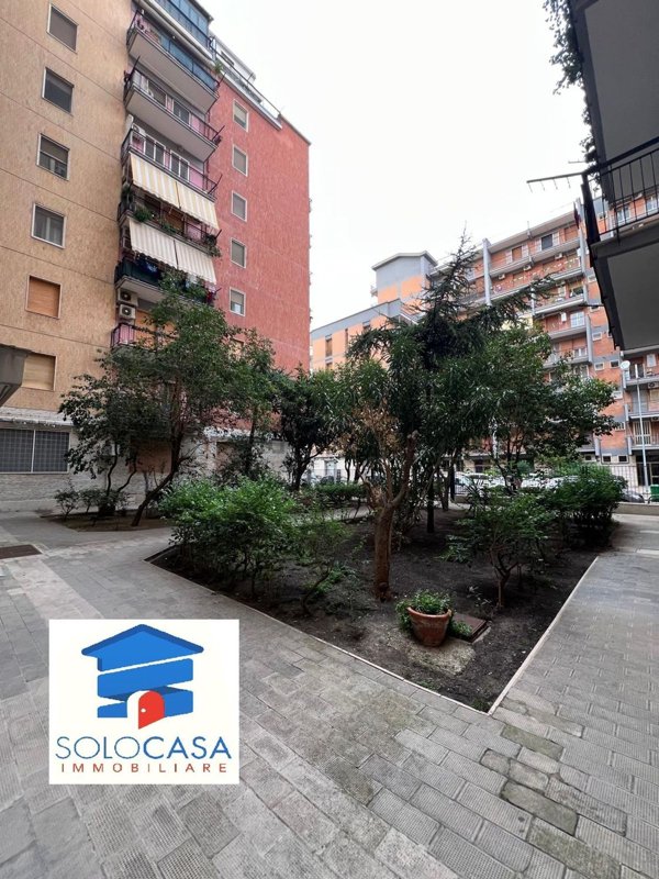 appartamento in affitto a Foggia