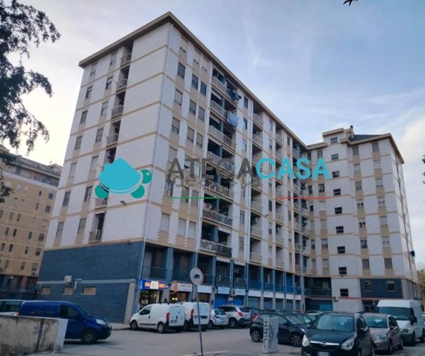 appartamento in affitto a Foggia