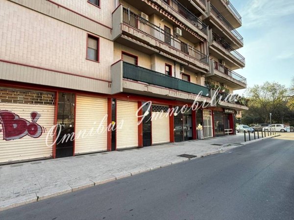 negozio in affitto a Foggia