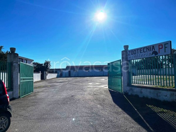 locale commerciale in affitto a Foggia