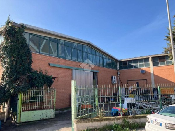 locale commerciale in affitto a Foggia in zona Fiera
