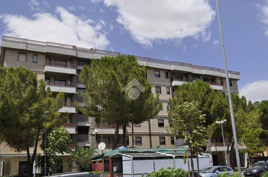 appartamento in affitto a Foggia