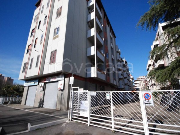 appartamento in affitto a Foggia in zona Macchia Gialla