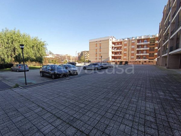 appartamento in affitto a Foggia in zona Macchia Gialla