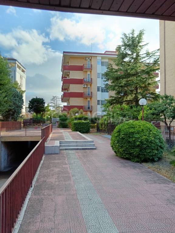 appartamento in affitto a Foggia