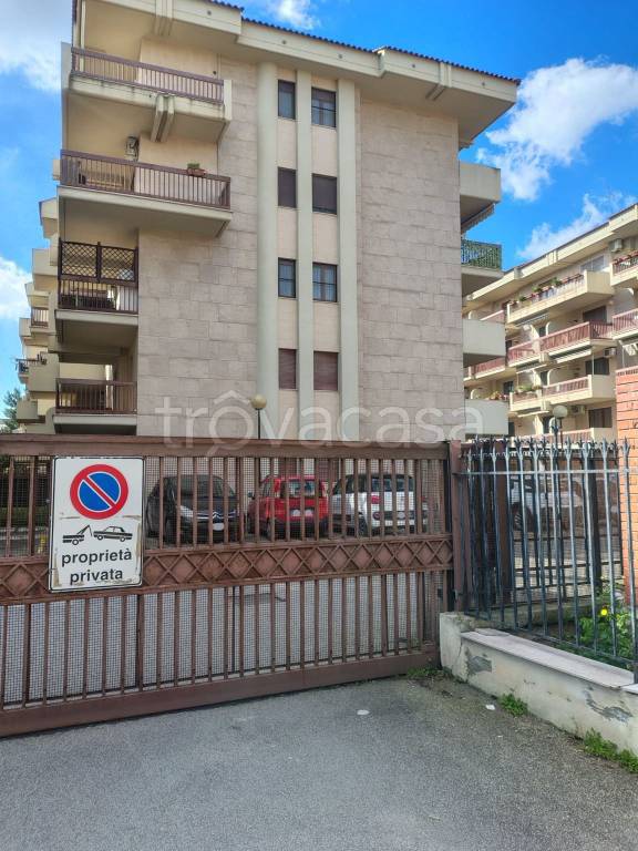 appartamento in affitto a Foggia