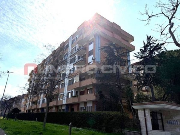 appartamento in affitto a Foggia