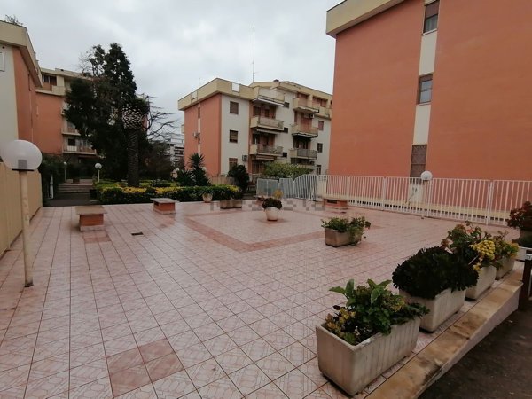 appartamento in affitto a Foggia
