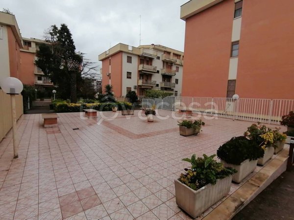 appartamento in affitto a Foggia in zona Rione Diaz