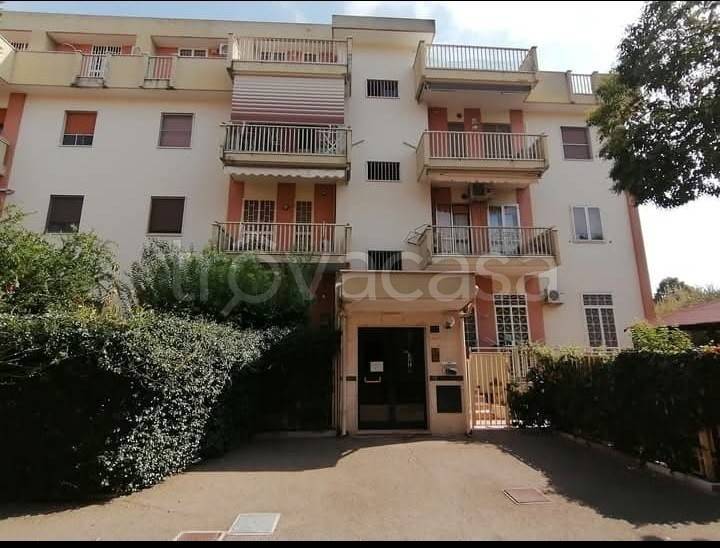 appartamento in affitto a Foggia in zona Rione Diaz