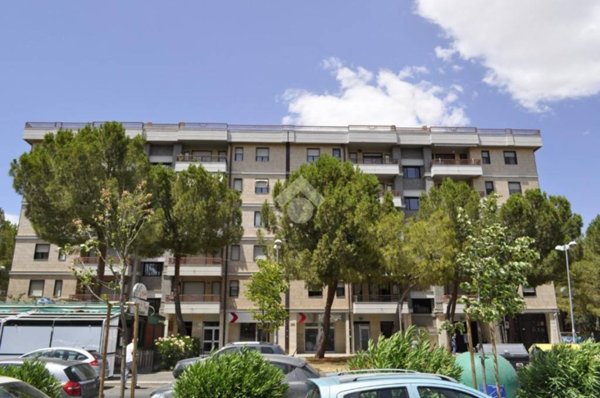 appartamento in affitto a Foggia