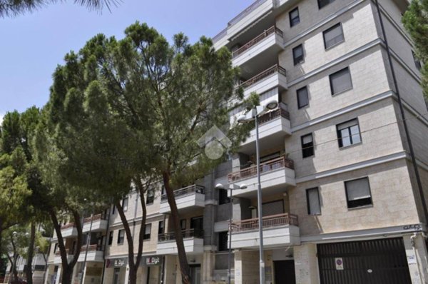 appartamento in affitto a Foggia