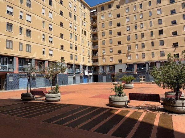 appartamento in affitto a Foggia