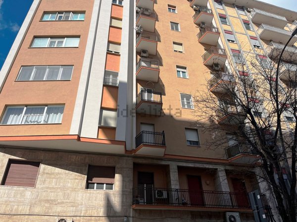 appartamento in affitto a Foggia