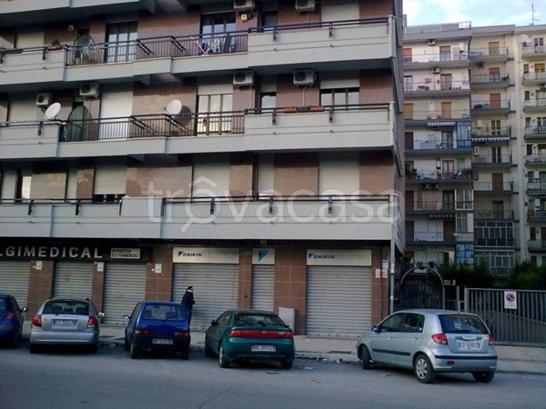 appartamento in affitto a Foggia in zona Macchia Gialla