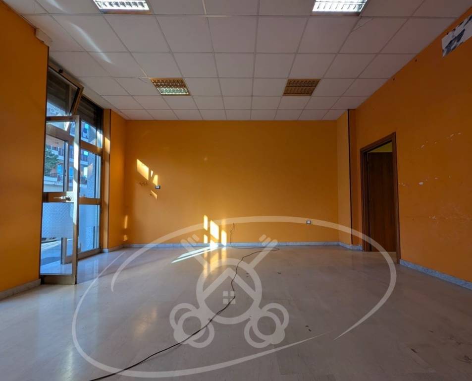 negozio in affitto a Foggia