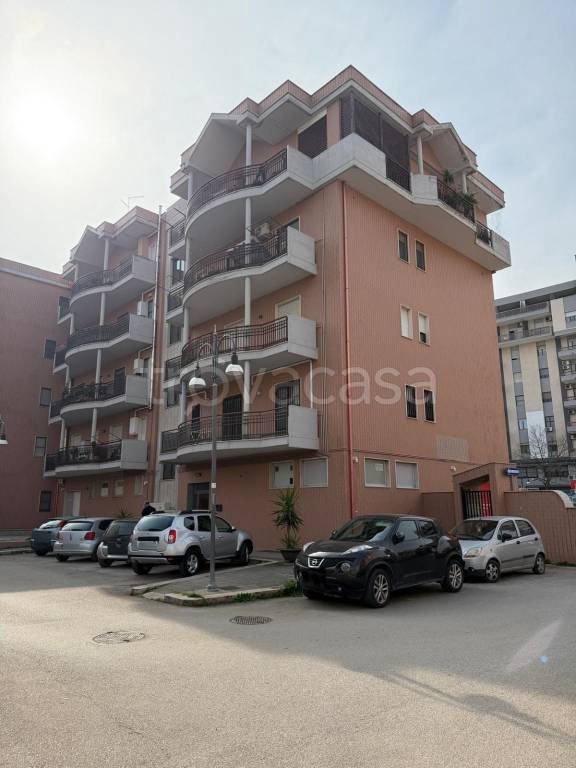 appartamento in affitto a Foggia