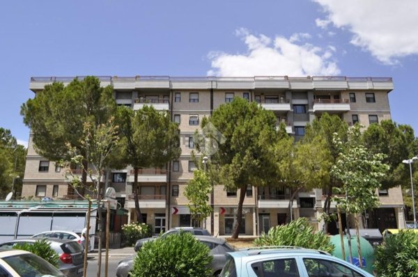 appartamento in affitto a Foggia