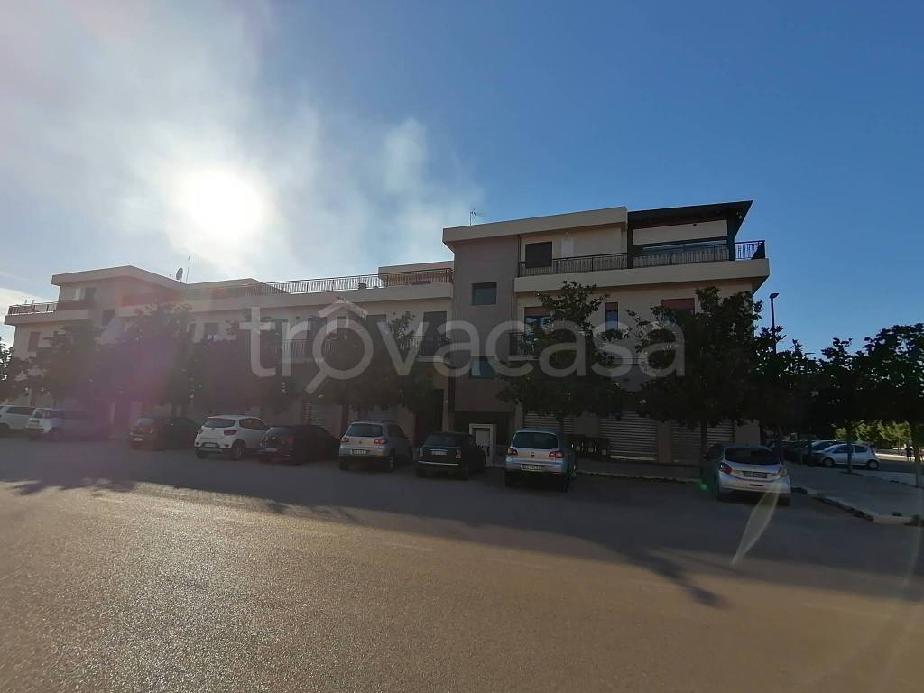 appartamento in affitto a Foggia