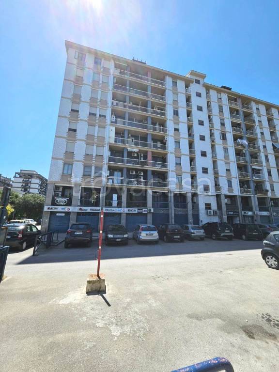 appartamento in affitto a Foggia
