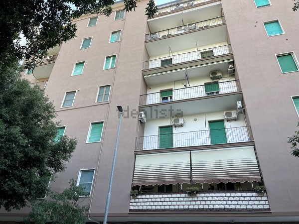 appartamento in affitto a Foggia