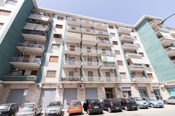 appartamento in affitto a Foggia