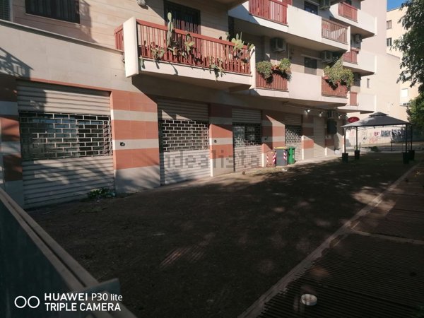 appartamento in affitto a Foggia