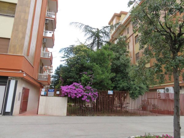 appartamento in affitto a Foggia in zona Immacolata / San Pio X