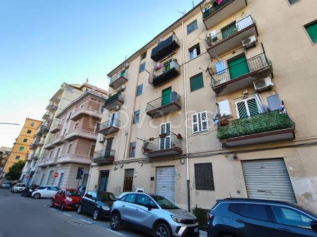 appartamento in affitto a Foggia in zona Immacolata / San Pio X