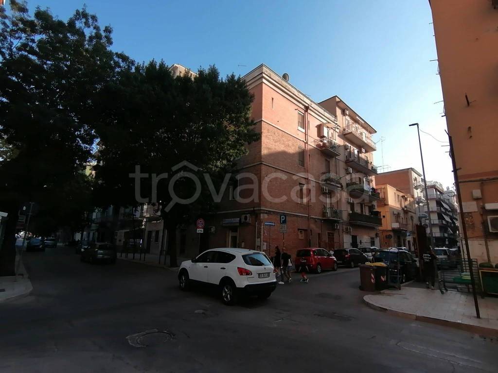 appartamento in affitto a Foggia