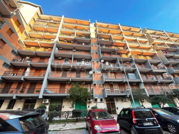 appartamento in affitto a Foggia in zona San Ciro