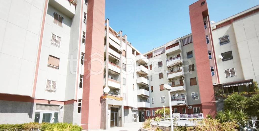 appartamento in affitto a Foggia in zona Macchia Gialla