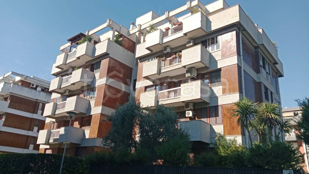 appartamento in affitto a Foggia in zona Immacolata / San Pio X