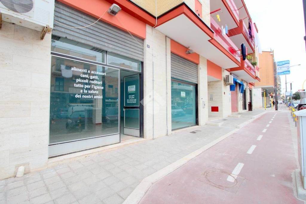 negozio in affitto a Lucera